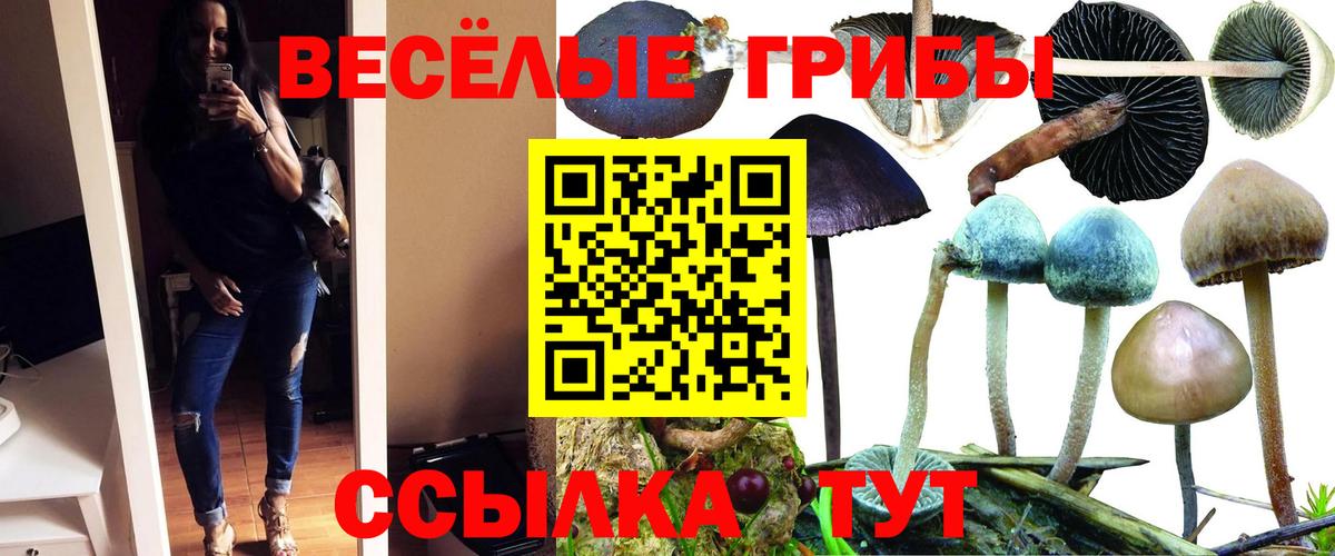Галлюциногенные грибы Cubensis Скопин